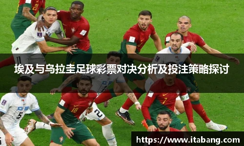 哈哈体育