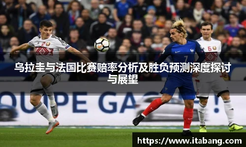 哈哈体育入口在线观看