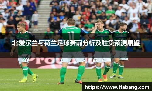 哈哈体育入口在线观看