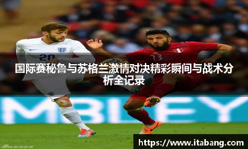 哈哈体育