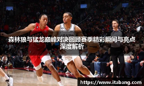 森林狼与猛龙巅峰对决回顾赛季精彩瞬间与亮点深度解析